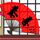 熊猫